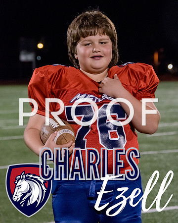 8x10 Poster