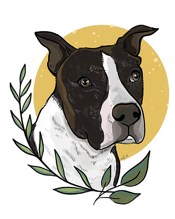 Roman - Darryl's Dog 8x10
