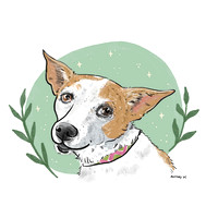 Camden - Sowers' Dog