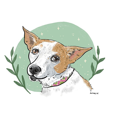 Camden - Sowers' Dog